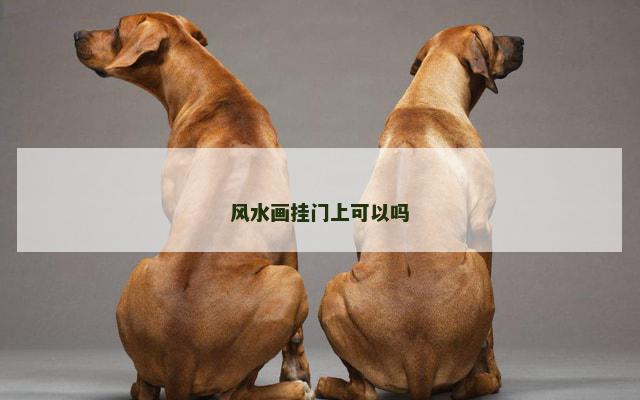 风水画挂门上可以吗