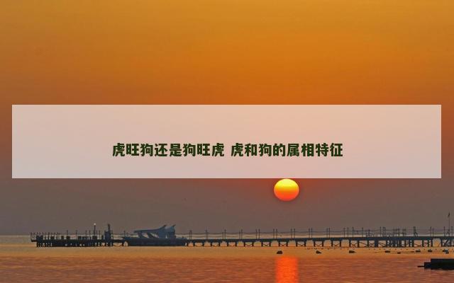 虎旺狗还是狗旺虎 虎和狗的属相特征