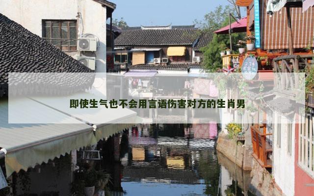 即使生气也不会用言语伤害对方的生肖男