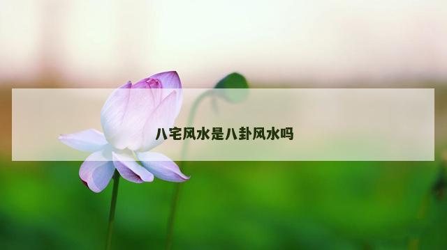 八宅风水是八卦风水吗