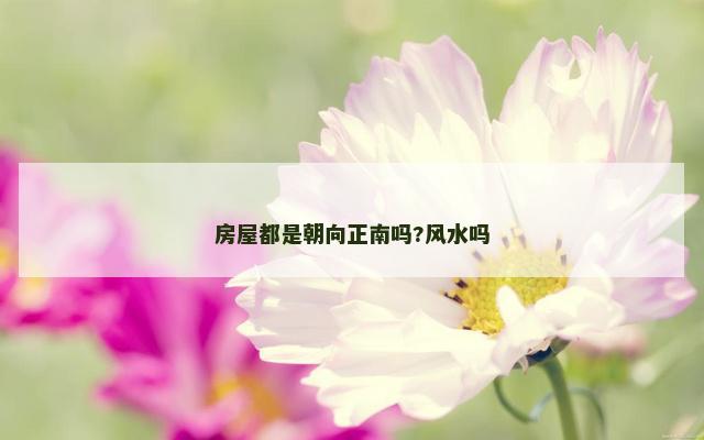 房屋都是朝向正南吗?风水吗