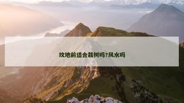 坟地前适合栽树吗?风水吗