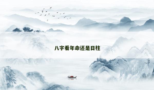 八字看年命还是日柱