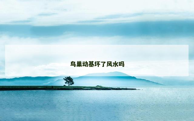 鸟巢动基坏了风水吗