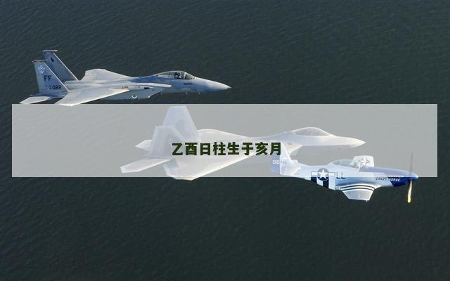 乙酉日柱生于亥月