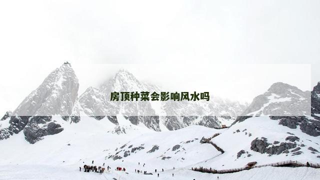 房顶种菜会影响风水吗