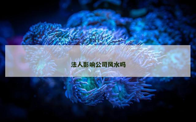 法人影响公司风水吗
