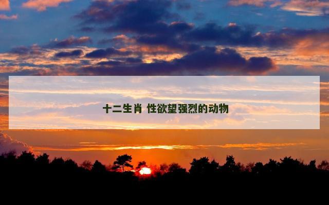十二生肖 性欲望强烈的动物
