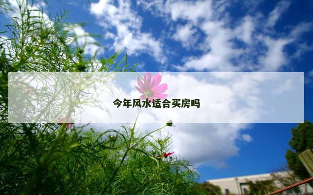 今年风水适合买房吗
