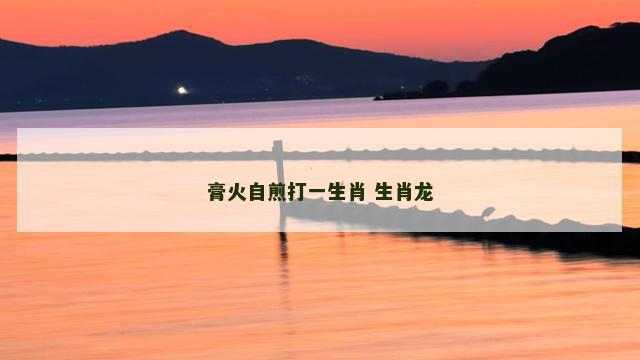 膏火自煎打一生肖 生肖龙