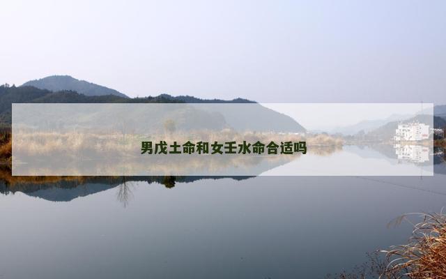 男戊土命和女壬水命合适吗