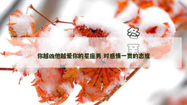 你越凶他越爱你的星座男 对感情一贯的态度