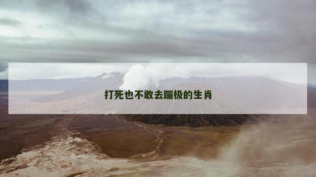 打死也不敢去蹦极的生肖