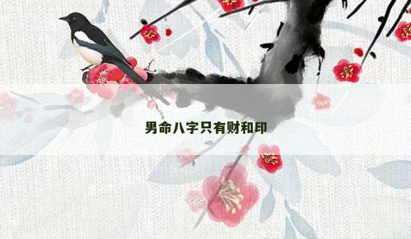男命八字只有财和印