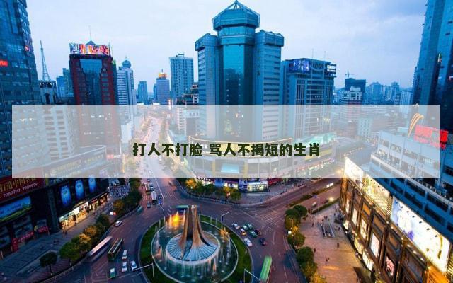打人不打脸 骂人不揭短的生肖