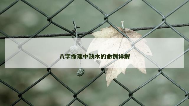 八字命理中缺木的命例详解