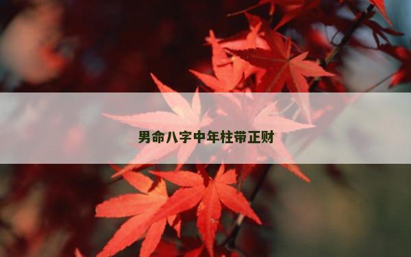 男命八字中年柱带正财
