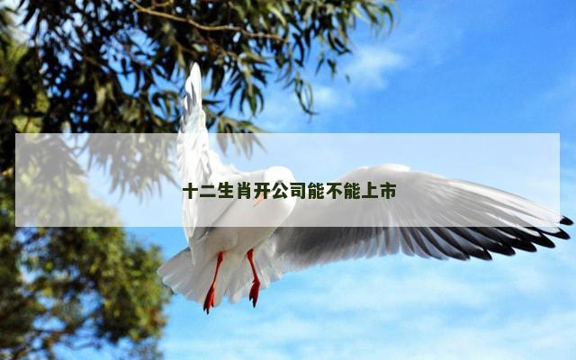 十二生肖开公司能不能上市