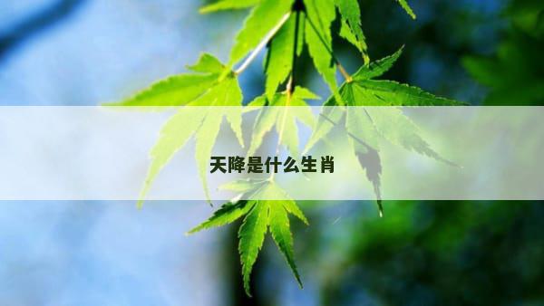 天降是什么生肖
