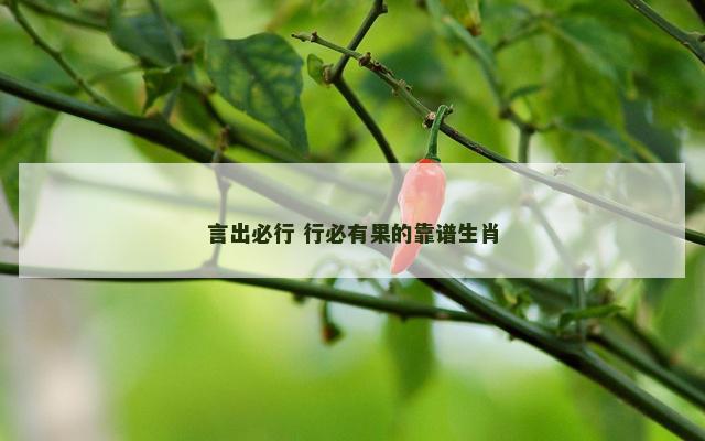 言出必行 行必有果的靠谱生肖