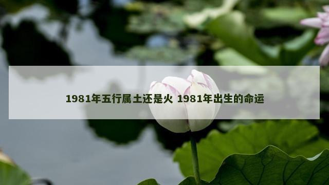 1981年五行属土还是火 1981年出生的命运
