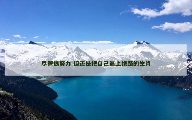 尽管很努力 但还是把自己逼上绝路的生肖