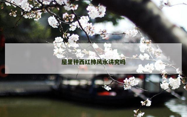 屋里种西红柿风水讲究吗