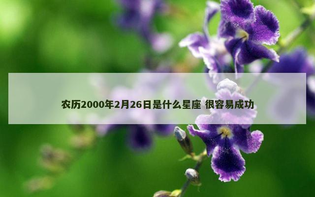 农历2000年2月26日是什么星座 很容易成功