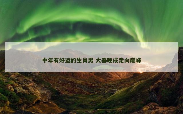 中年有好运的生肖男 大器晚成走向巅峰