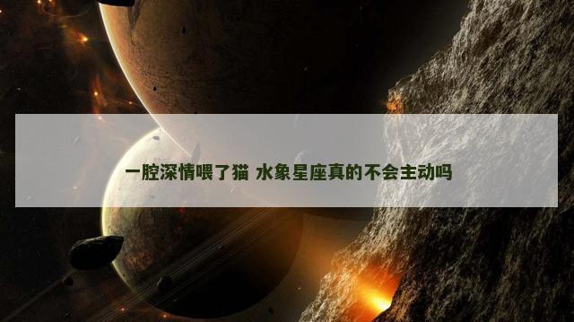 一腔深情喂了猫 水象星座真的不会主动吗