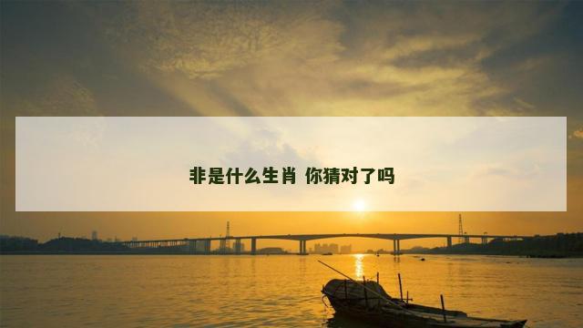 非是什么生肖 你猜对了吗