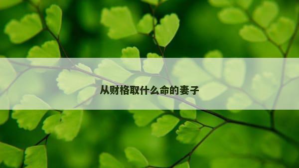 从财格取什么命的妻子
