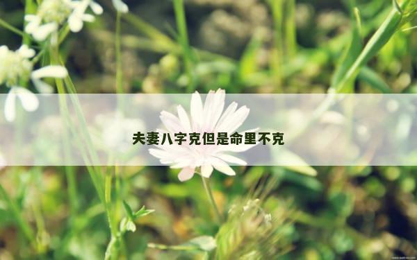 夫妻八字克但是命里不克