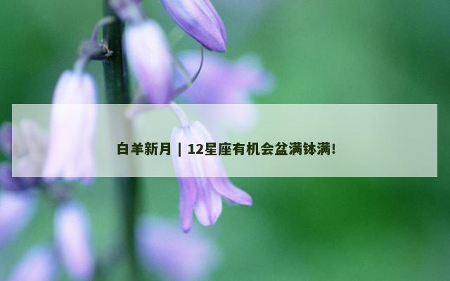 白羊新月 | 12星座有机会盆满钵满！