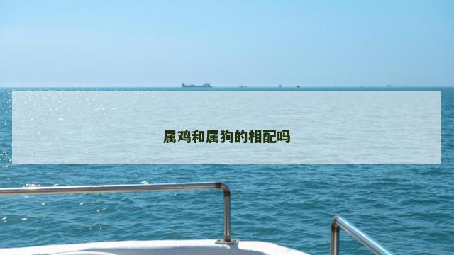 属鸡和属狗的相配吗
