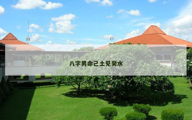 八字男命己土见癸水