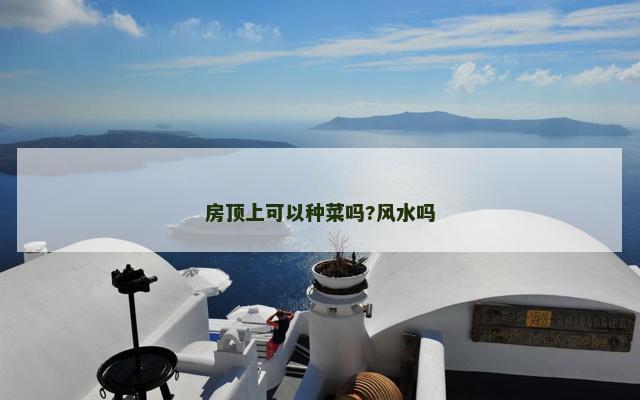 房顶上可以种菜吗?风水吗
