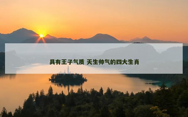 具有王子气质 天生帅气的四大生肖