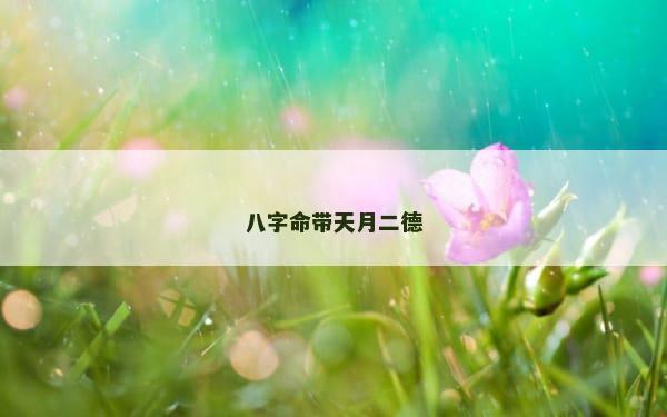 八字命带天月二德