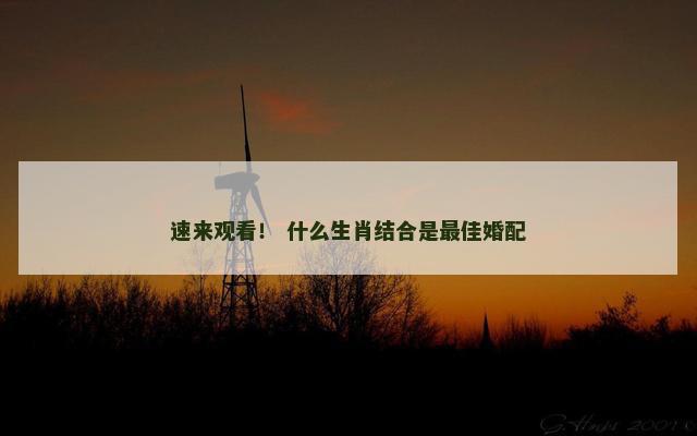 速来观看！ 什么生肖结合是最佳婚配