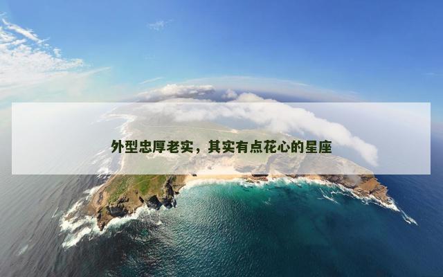 外型忠厚老实，其实有点花心的星座