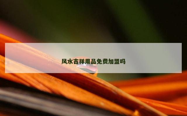 风水吉祥用品免费加盟吗