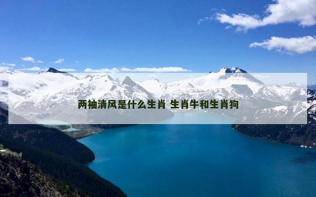 两袖清风是什么生肖 生肖牛和生肖狗