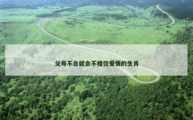 父母不合就会不相信爱情的生肖