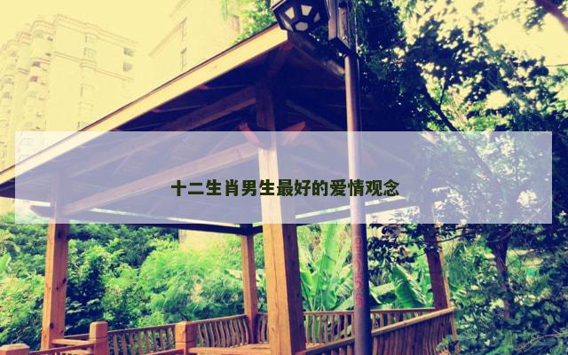 十二生肖男生最好的爱情观念