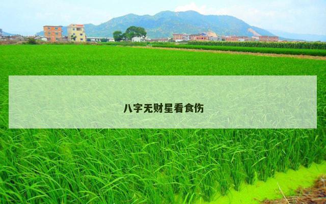 八字无财星看食伤
