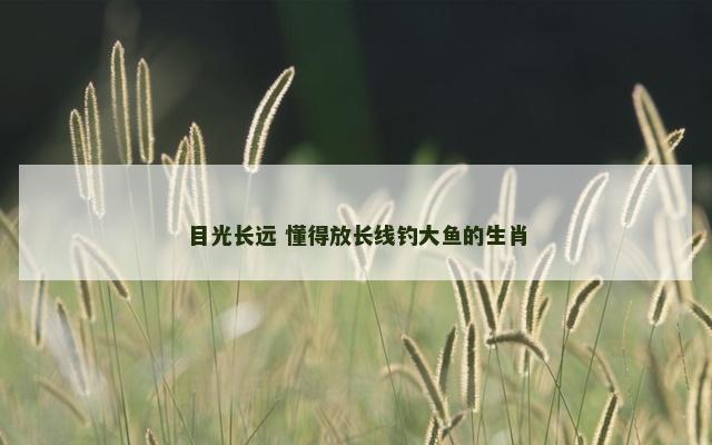 目光长远 懂得放长线钓大鱼的生肖