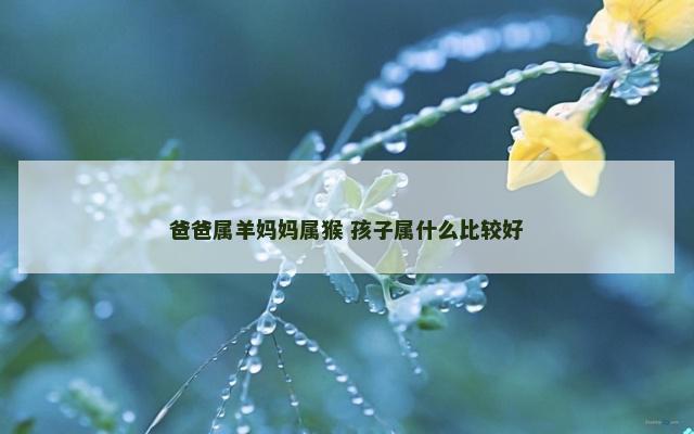 爸爸属羊妈妈属猴 孩子属什么比较好