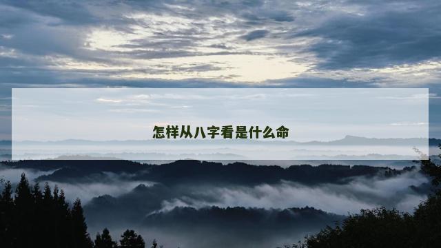怎样从八字看是什么命