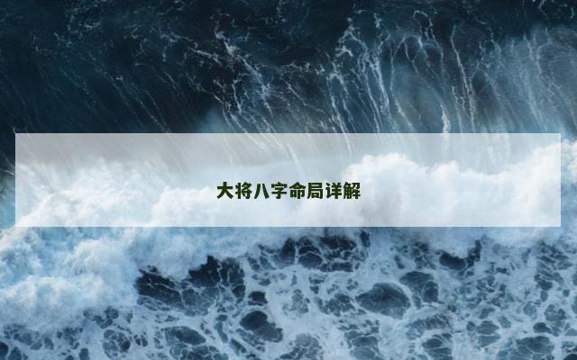 大将八字命局详解